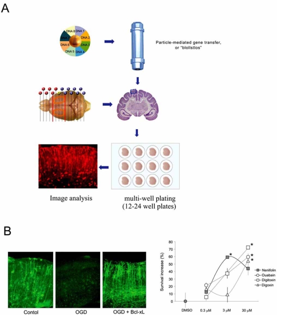 Fig. (1)