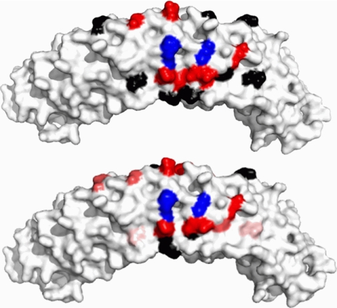 FIGURE 7.