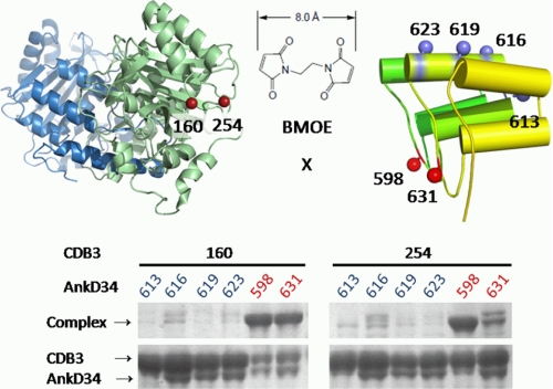 FIGURE 11.