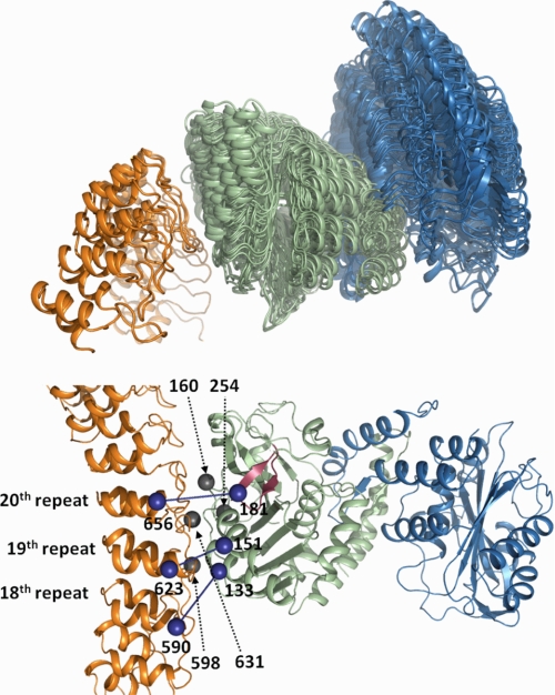 FIGURE 10.