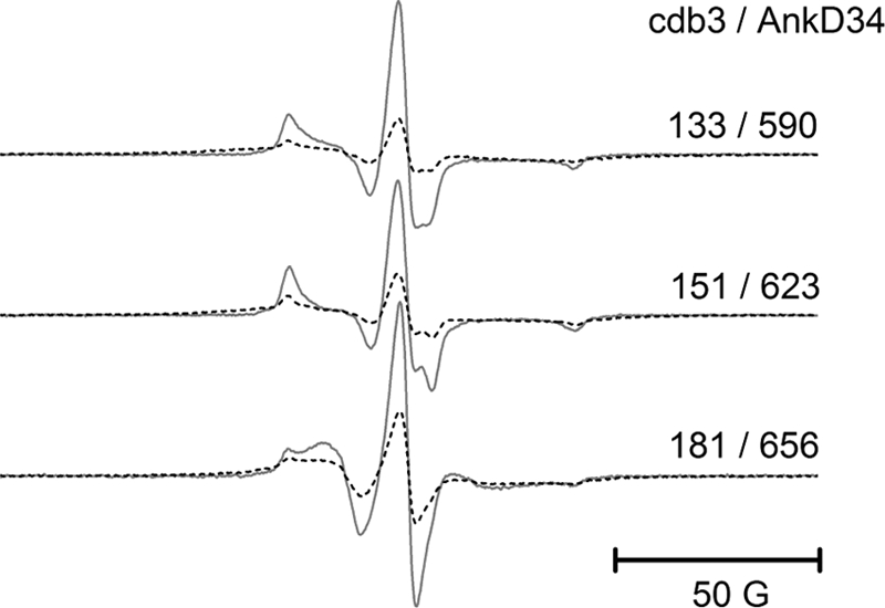 FIGURE 12.