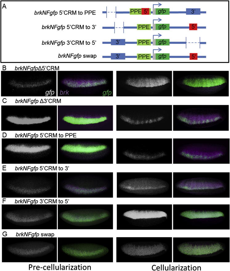 Figure 3