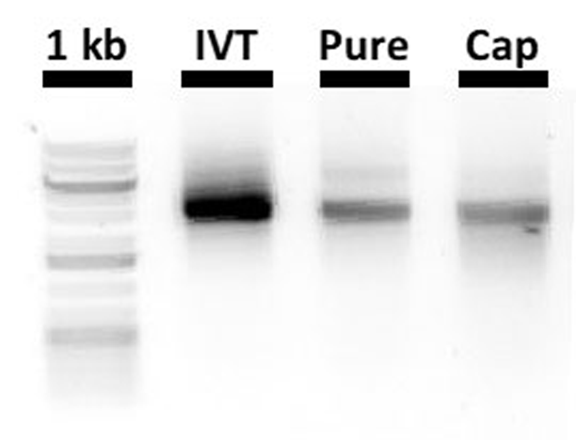 Figure 4: