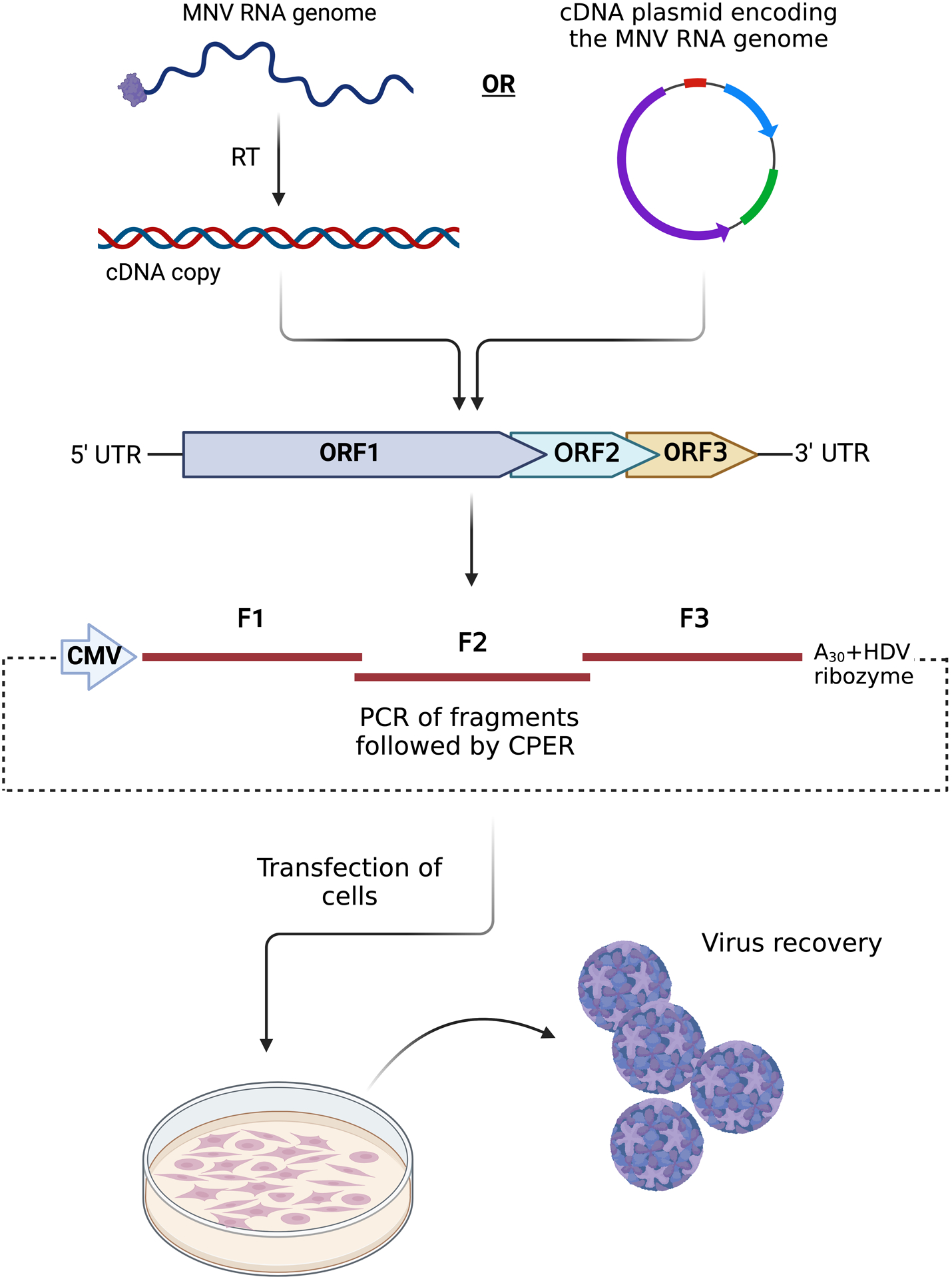 Figure 5: