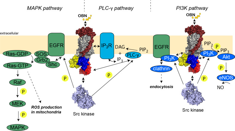 Fig. 4