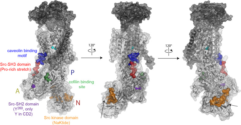 Fig. 3