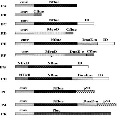 Fig 2.