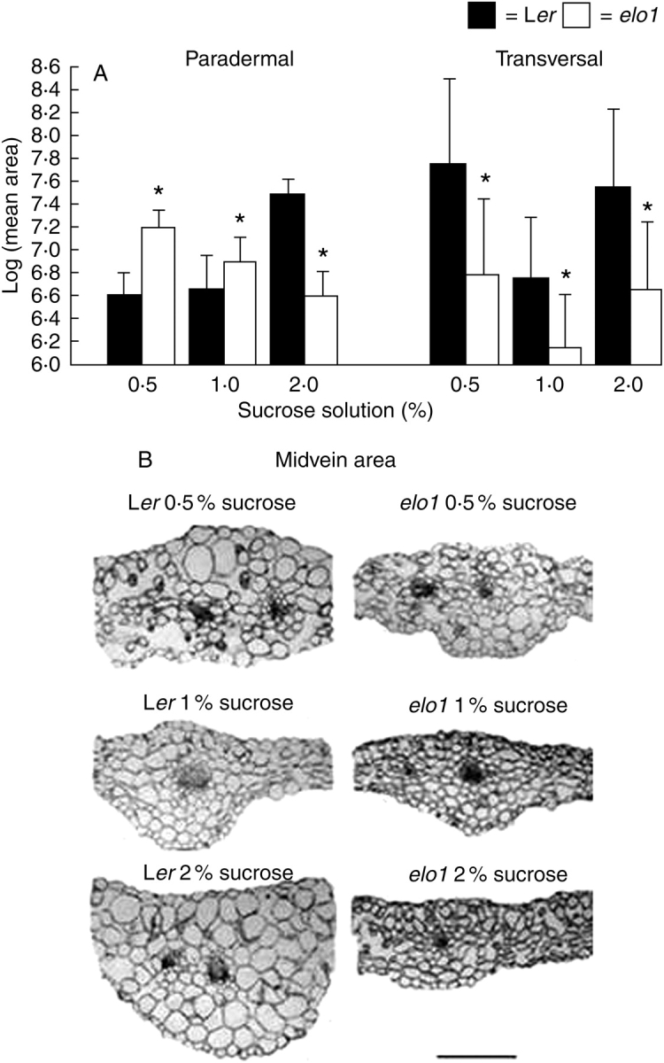 Fig. 5.