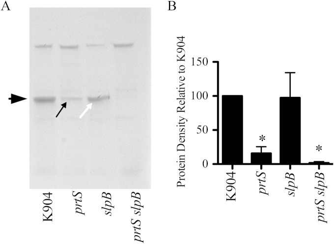 FIG 8