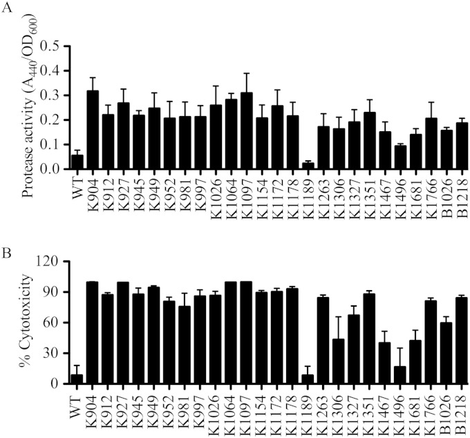 FIG 1