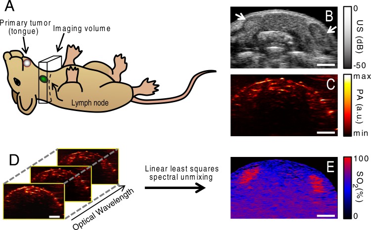 Figure 1: