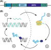 Figure 1.