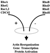 FIG. 11.