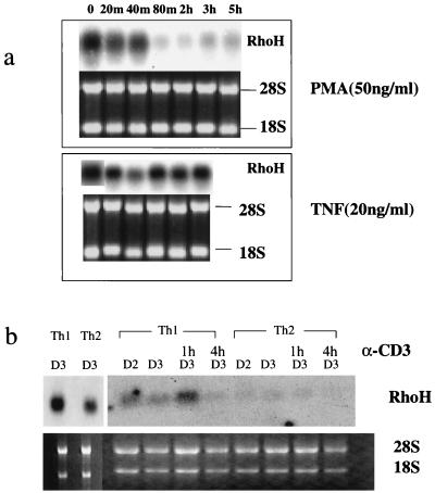 FIG. 10.