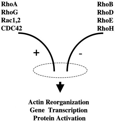 FIG. 11.