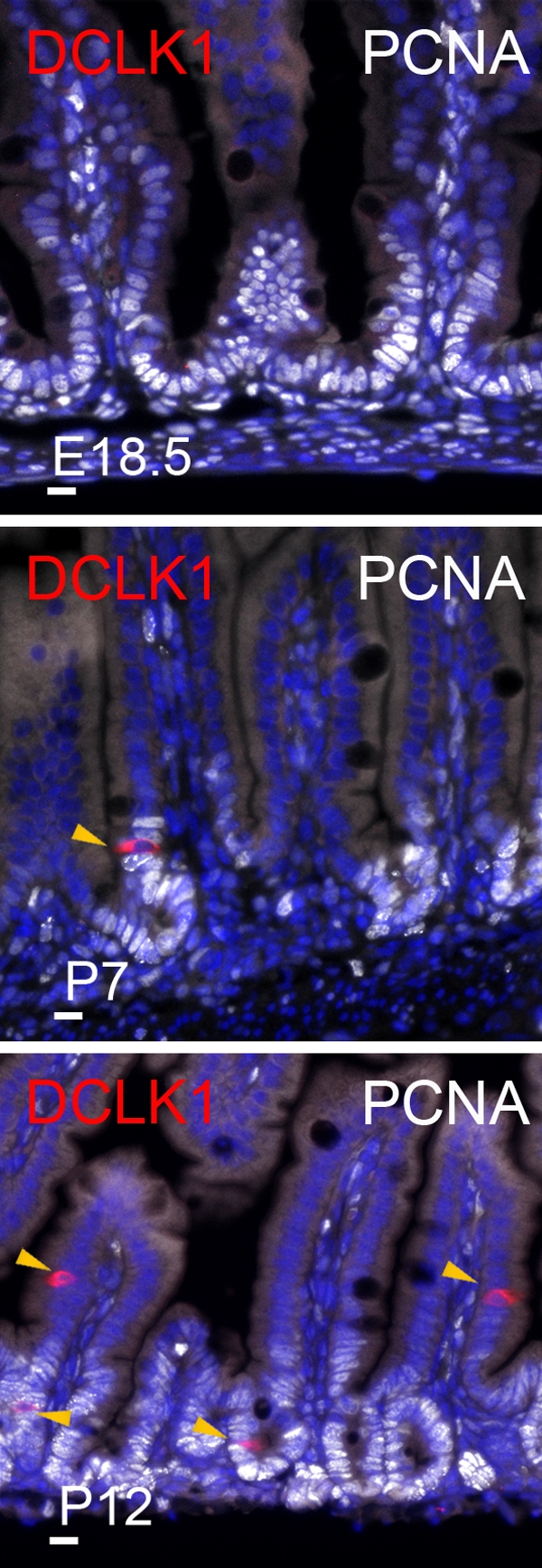 Figure 4.