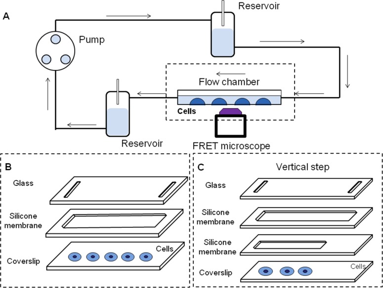 Fig 1