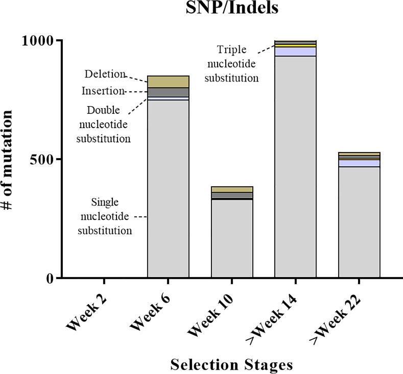 Fig 4