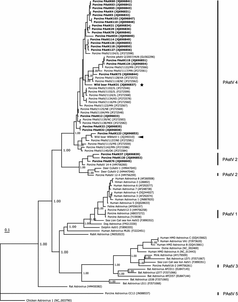 Fig. 2