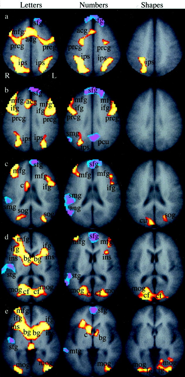 Fig 3.