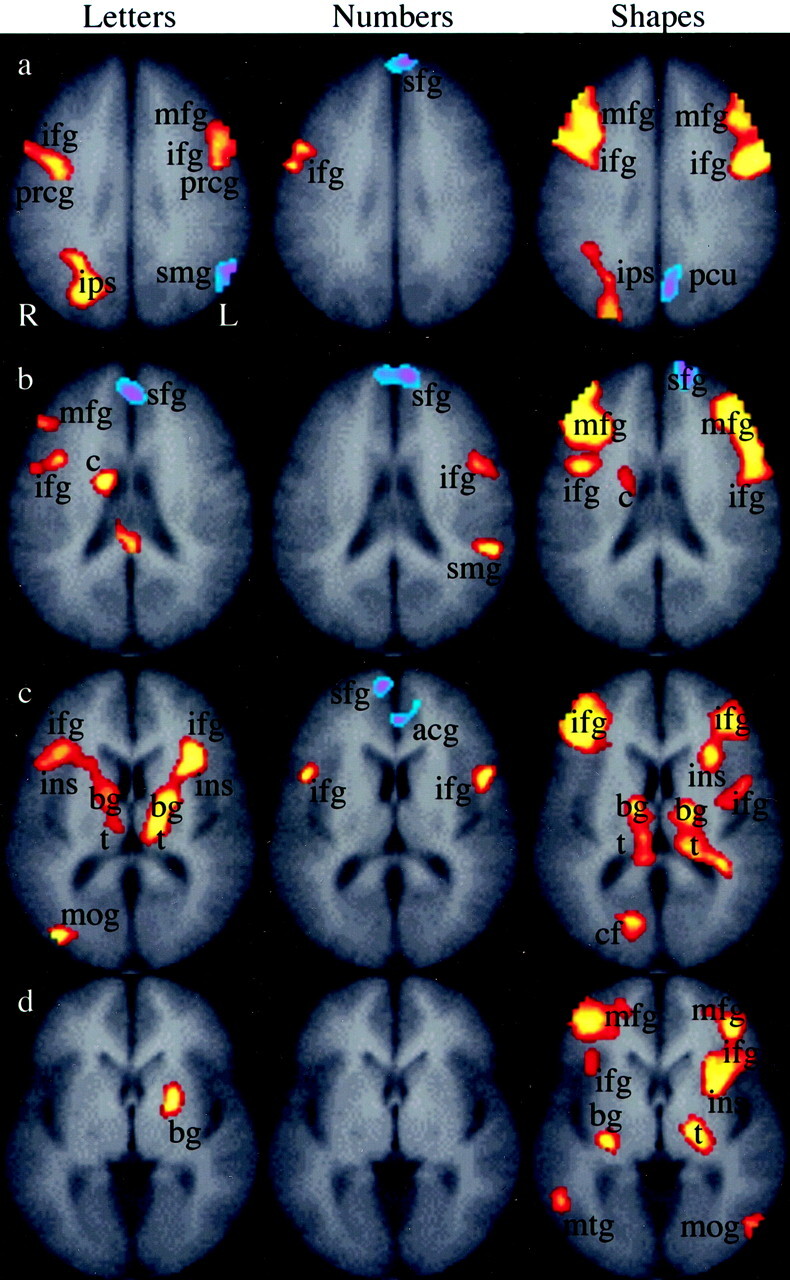 Fig 5.