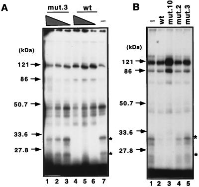 FIG. 6