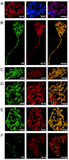 FIG. 7.