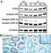 Fig 3.