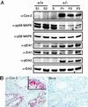 Fig 4.