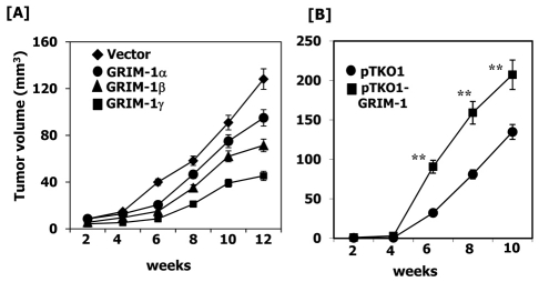 Fig. 8.