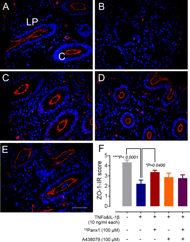 FIGURE 4