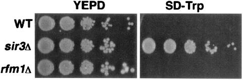 FIG. 5.