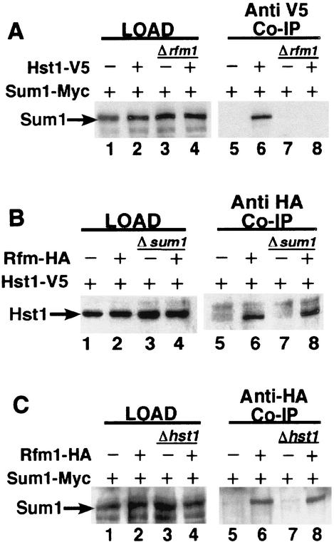 FIG. 7.