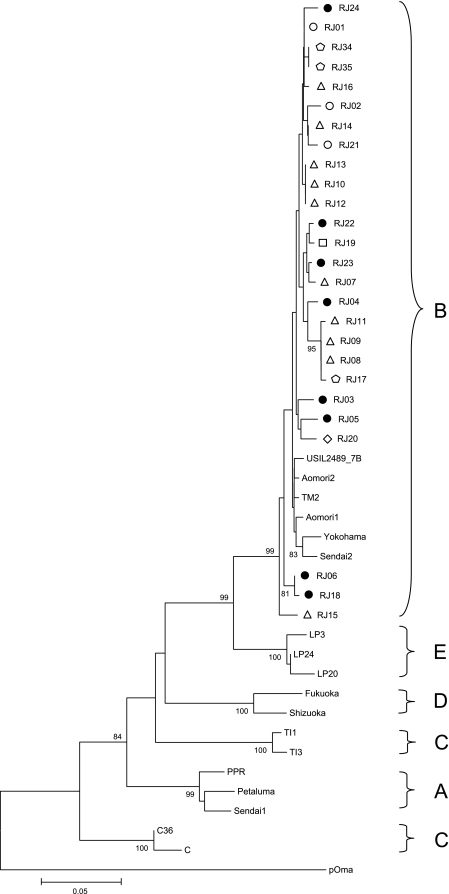 FIG. 1.