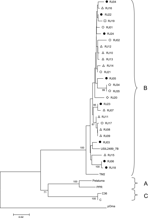 FIG. 2.