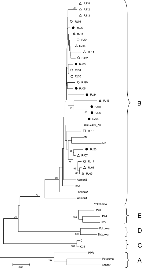 FIG. 3.