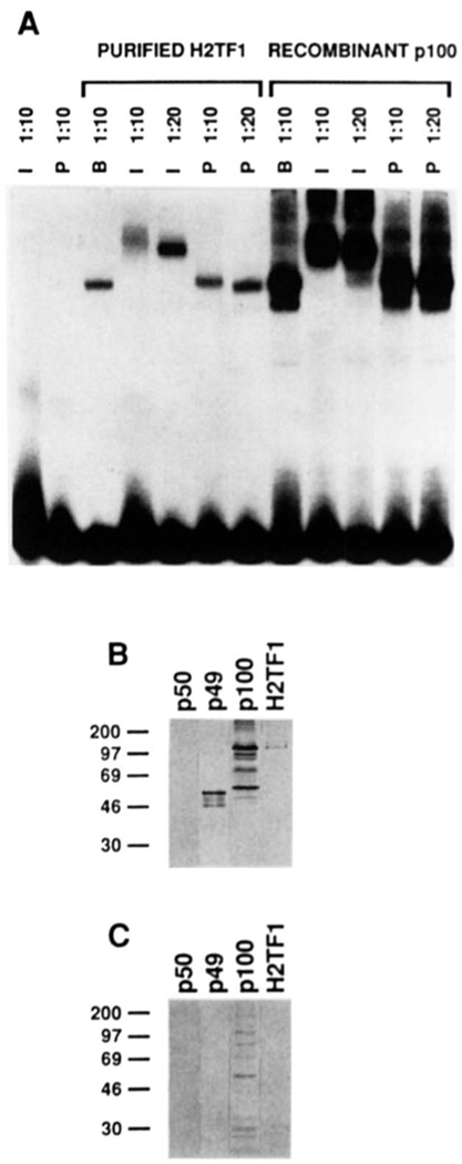 FIG. 7