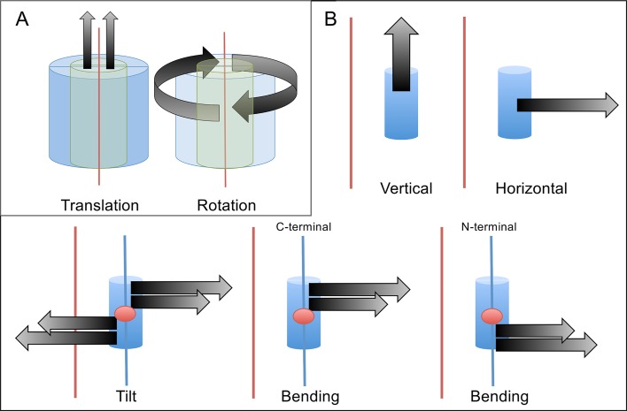 Fig 11