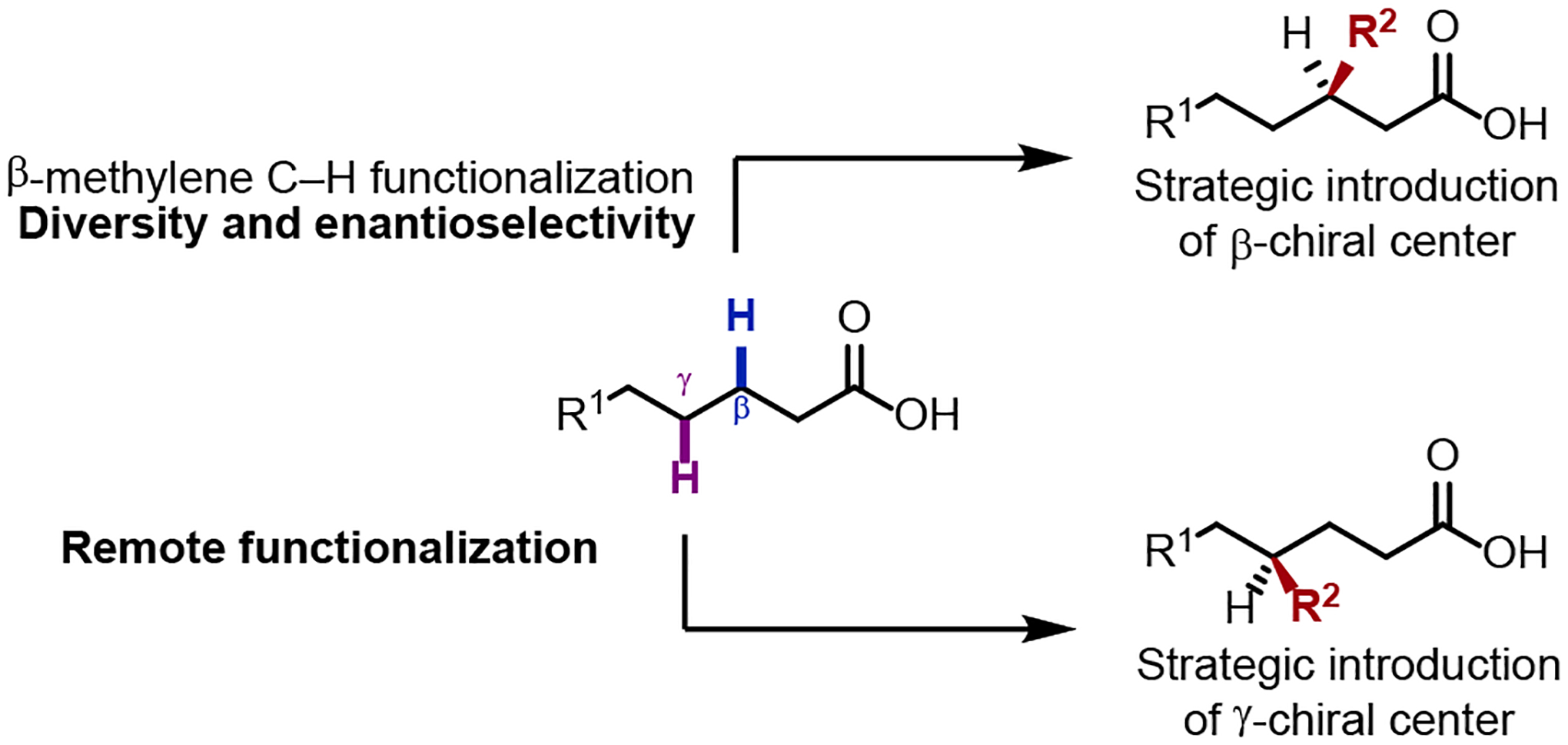 Scheme 20.