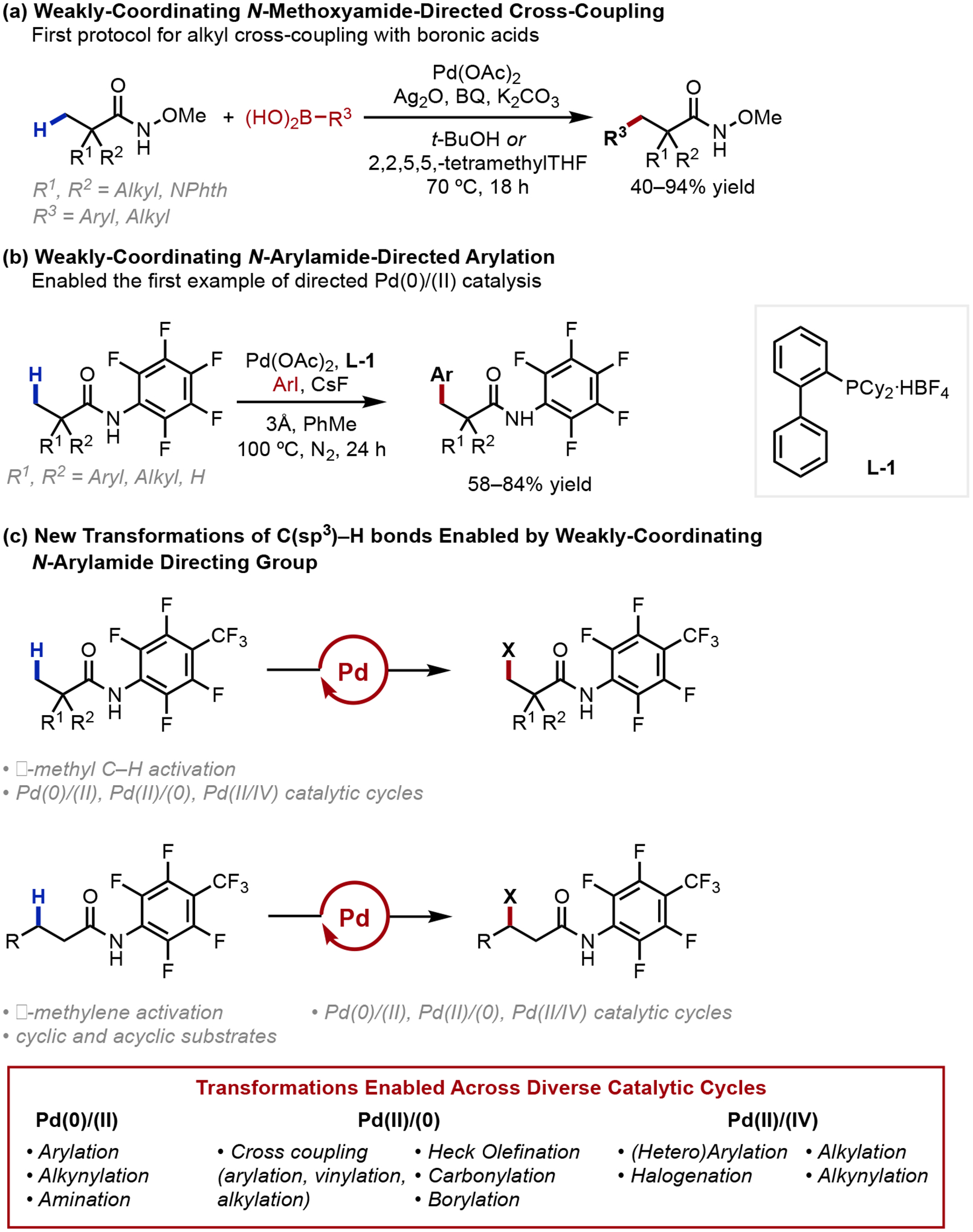 Scheme 5.