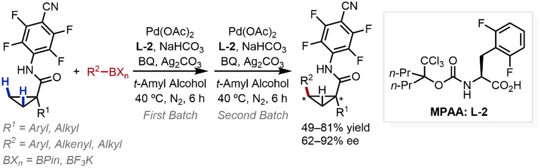 Scheme 6.