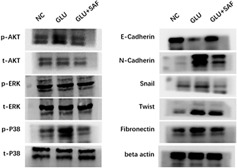 Figure 5