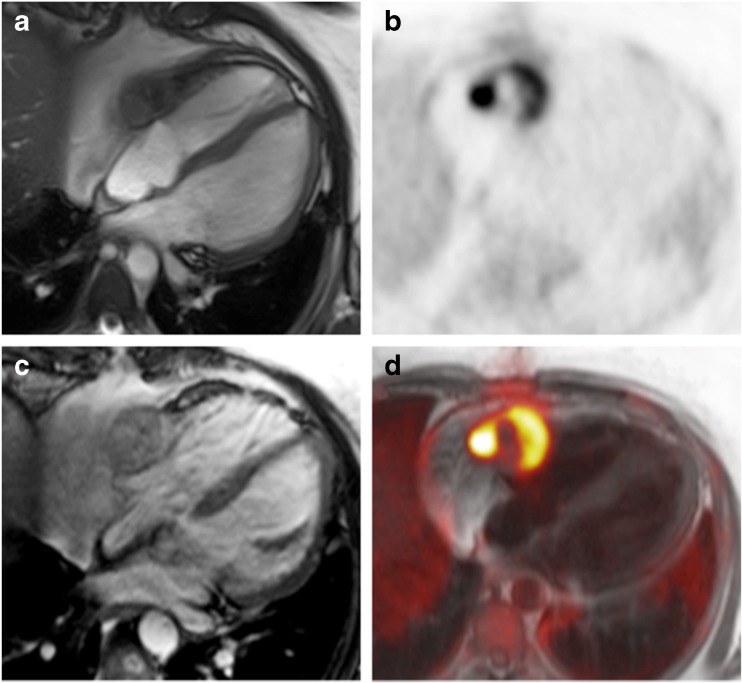 Fig. 6