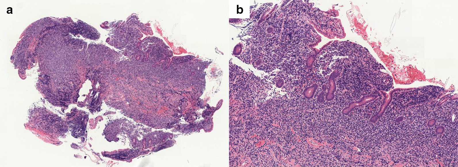 Fig. 6