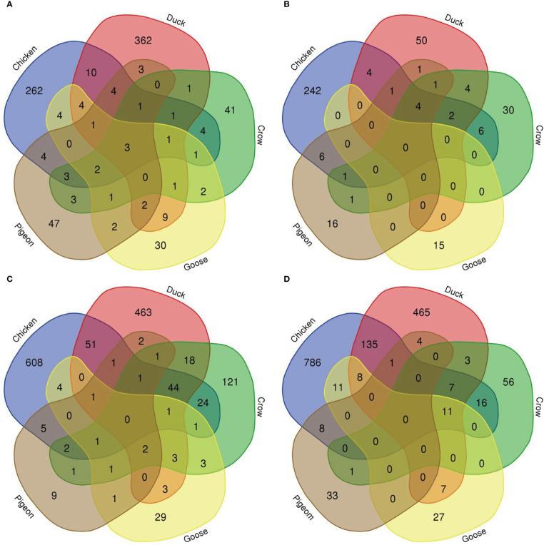 Figure 4