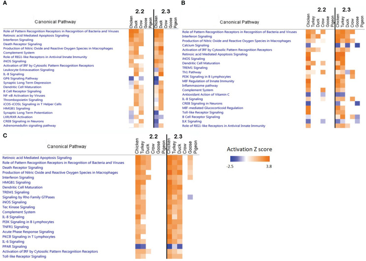 Figure 6