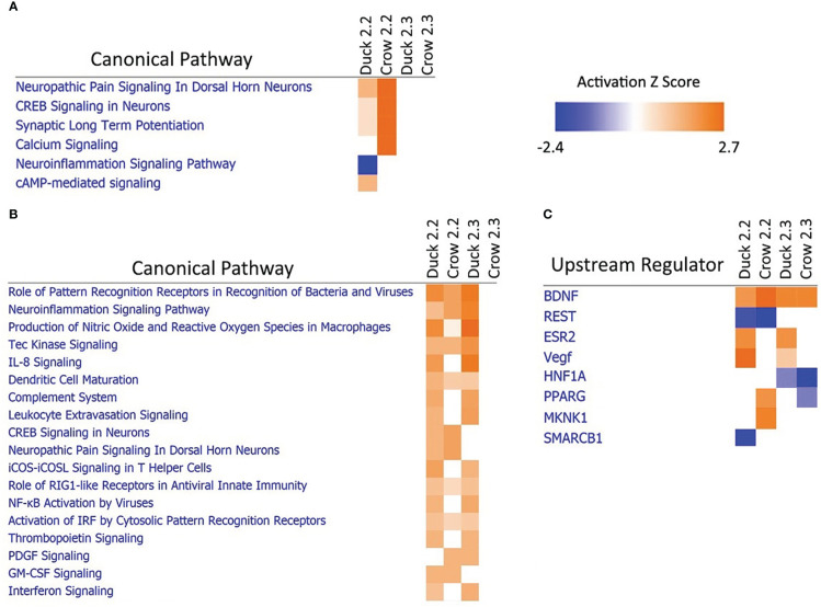 Figure 7