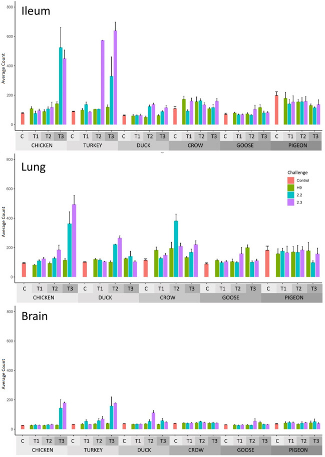 Figure 3