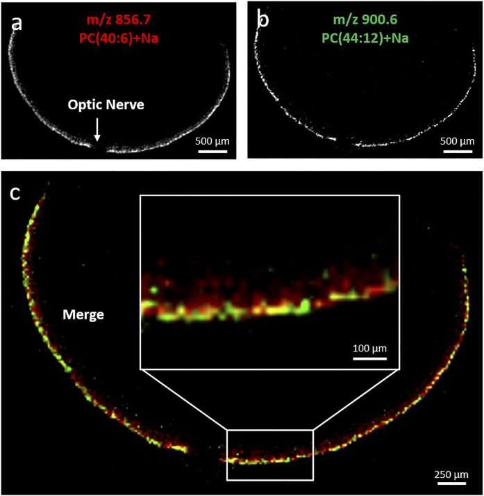 Fig. 7.