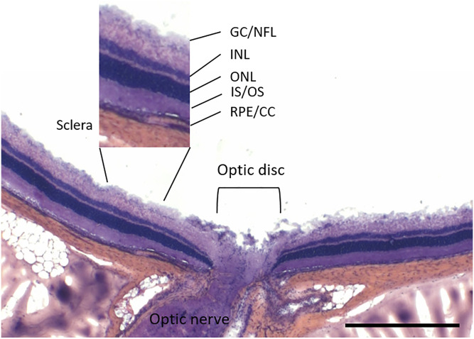 Fig. 5.